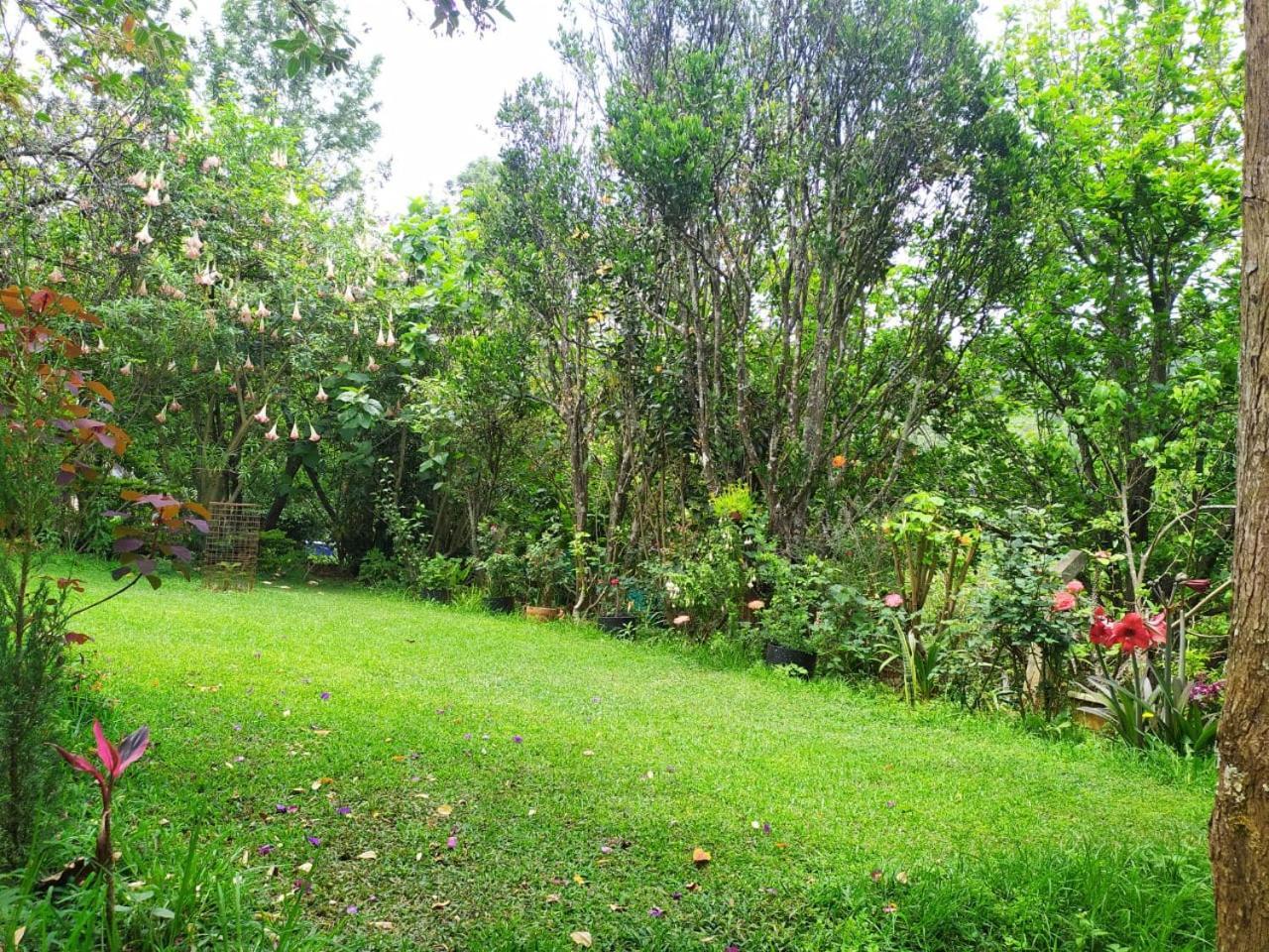Pear Tree Entire 2Bhk Villa โกตากิริ ภายนอก รูปภาพ